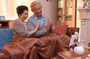 ��������Ҫ���