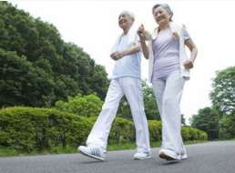 ԭ��˥���ǃ�(n��i)�ĵ��e(cu��)�X��9��(g��)���E���㌦(du��)���q��