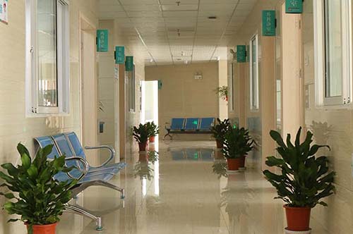 �����B(y��ng)�ϯ��B(y��ng)Ԕ��