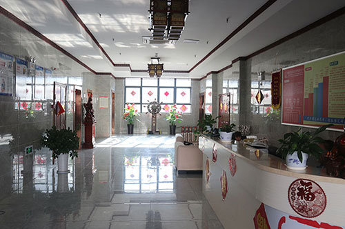 哪種類型的養(yǎng)老院比較受歡迎